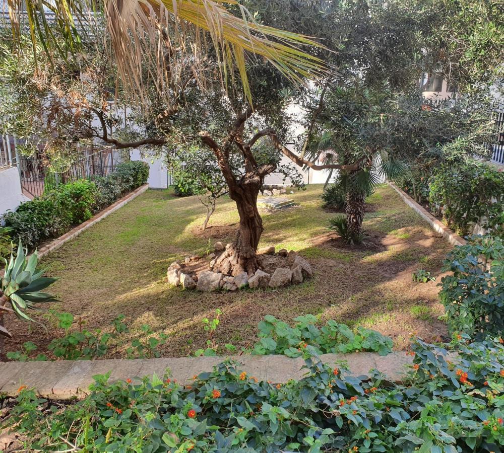 Apartamentos Mediterraneo Marbella Dış mekan fotoğraf